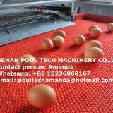 Brazil Poultry Farm Equipment - H Frame Full Automatic Layer Chicken Cage & Battery Chicken Cage & Laying Hen Cage for Farmer in Shed thumbnail-3