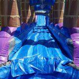 Inflatable Slip and Slide Inflatable Water Slide Axs-17 thumbnail-4