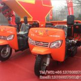 Diesel tricycle export to Mali egypt tanzania ghana middle east