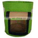 Shiitake Mushroom Garden Felt Grow Bag thumbnail-5