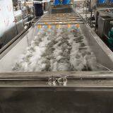 For Sale Carrot Washer Spray Foaming Cleaning Machine