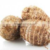 Vietnam High Quality Fresh Taro