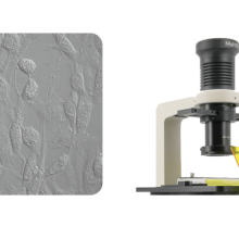 Inverted Fluorescence Microscope MF53-N thumbnail-4