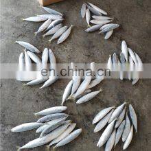 Frozen Mackerel Price Frozen Pacific Mackerel Fish Price thumbnail-2