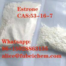 Estrone, CAS:53-16-7, free samples, high purity