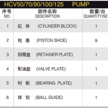 Hydraulic Spare Parts Repair Kit Hydraulic Plunger Pump HCV50/70/90/100/125 Hydraulic Pump Parts With ITALY SAM Spare Parts thumbnail-6