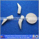 Ski Pole Tip thumbnail-1