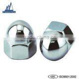 Znic Blue Hex Acom Cap Nuts