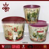 Potted Plants Colorful Window Boxes Shabby Chic Outdoor Planters thumbnail-3