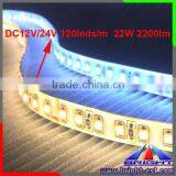 Shenzhen New Products on China Market Slim Width 60leds/m 2835 Led Strip 24V 8mm thumbnail-4