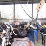 Zigong Huilongtang Culture&Art Co., Ltd. company overview - view 3 thumbnail