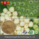 Optimal Level Lotus Seed Semen Nelumbinis Extract Powder thumbnail-4
