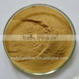 Cemetary Flower Pot Made of Moss thumbnail-1