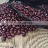 Chinese Adzuki Beans for Europ thumbnail-5