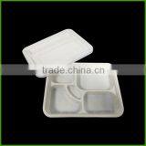 Custom Recycle Biodegradable Food Packaging Plastic Disposable Meat Tray Disposable