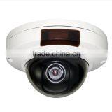 LS VISION Outdoor Dome 2 Megapixel IP Camera CCTV Camera Support P2P POE thumbnail-3