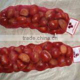 Dandong City Chestnuts Taian Species thumbnail-2