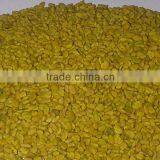 High Quality Fenugreek Seed Sortex Cleaned