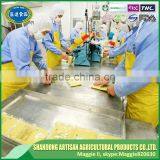 Manufacturer Supply Good Quality Diced Frozen Garlic With BRC thumbnail-4