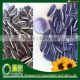 Hot Sell Raw Material Sunflower Seeds Nuts thumbnail-1
