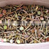 color galvanized roofing nail