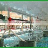 Pig Feeding Equipments / Automatic System thumbnail-2