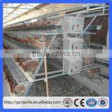 3 Tiers of 120 Birds Layer Cage/Uzbekistan Poultry Equipment(Guangzhou Factory) thumbnail-3