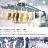 Rabbit Slaughter Machine Line thumbnail-2