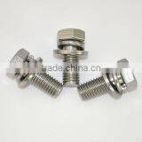 Stainless Steel and Carbon Steel Standard or Special Screws thumbnail-1