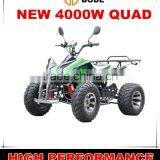 Chinese 4000W Adult Qude bike