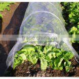 Wholesale and Cheap Plastic Agricultural Greenhouse Film in Jumbo Roll thumbnail-1