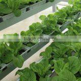 Tomato Greenhouses Structure With Hydroponic System thumbnail-2