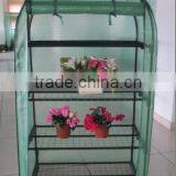 Plastic Greenhouse thumbnail-1