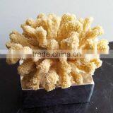 Indoor Resin Coralal Sculpture thumbnail-2