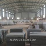 Ice Cristall Gamma Bianco New G603 Granite Flamed Finished 50mm Thick Plate thumbnail-6