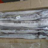 IQF Ribbon Fish thumbnail-2