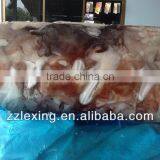 Frozen Peru Giant Squid Tentacle,wing,neck,fillet,tube thumbnail-2