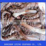 Frozen Peru Giant Squid Tentacle thumbnail-2