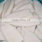 Frozen Giant Squid Tube thumbnail-1