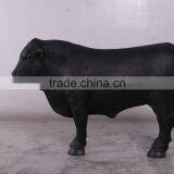 Definitive Angus Looking Left thumbnail-4