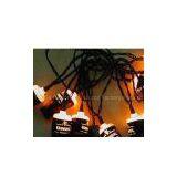 Light String With Plastic Bottle