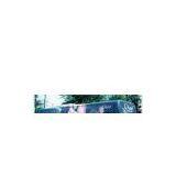 One Way Vision Vinyl thumbnail-1