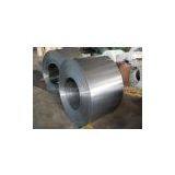Hot Dipped Galvanized Steel in Coils , HDG , GL Coils/ New Building Material