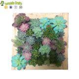 50*50cm Artificial Succulent Plants Plastic Ferns Green Grass Photo Frame Wall Decoration Flowers Home thumbnail-4