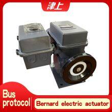 Bernard Angle Stroke Electric Actuator AS-25/F30H
