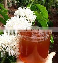 NATURAL FROM VIET NAM HONEY COFFEE FLOWER 100% NATURAL WITH GOOD PRICE thumbnail-3