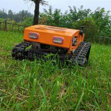 Remote Control Lawn Mower Price, China Slope Mower Price, Radio Controlled Slope Mower for Sale
