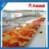 High Speed Stainless Steel Chain Plate Conveyor for Fruit Manufactured in Wuxi Kaae