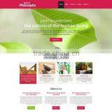 Ecommerce Web Developer