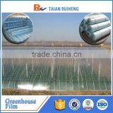 Virgin Material Greenhouse Film With Factory Price, PE Greenhouse Film. thumbnail-3